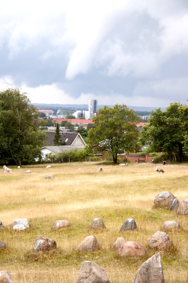 Lindholm Höje 2015-07-28-19