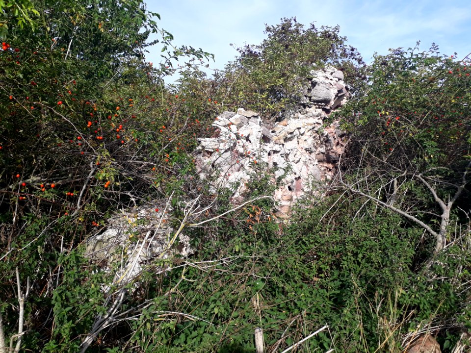Lindeschu - 2