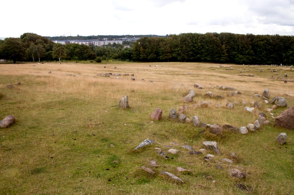 Lindholm Höje 2015-07-28-5