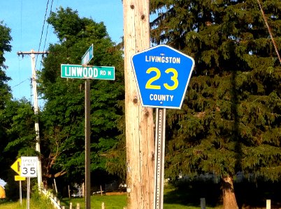 Linwood, Livingston County, N.Y