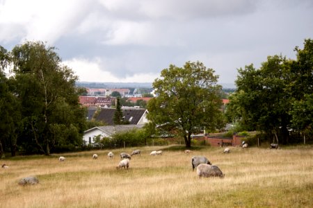 Lindholm Höje 2015-07-28-15 photo