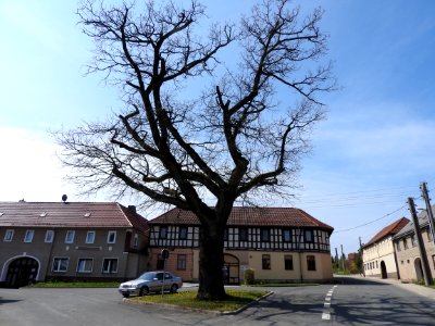 Linda, Neustadt, Orla 4