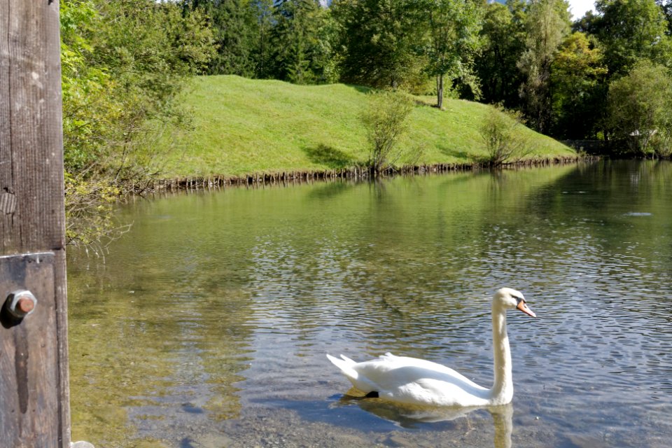 Linderhof Schwanenweiher bjs090909-02