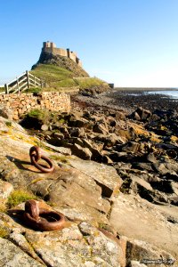 Lindisfarne (17568941) photo