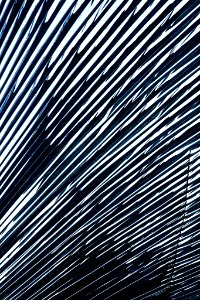 Lines (111321949)