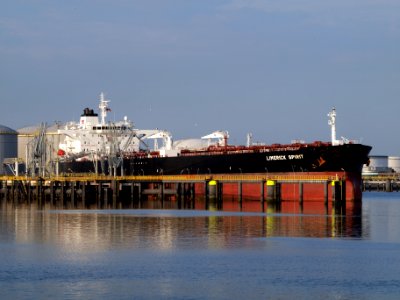 Limerick Spirit IMO 8312860 Pic1 05July2009, Port of Rotterdam