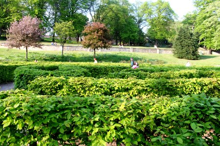 Lincoln Arboretum maze photo