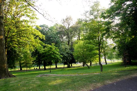 Lincoln Arboretum