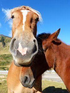 Val d'aran pyrenees tenderness