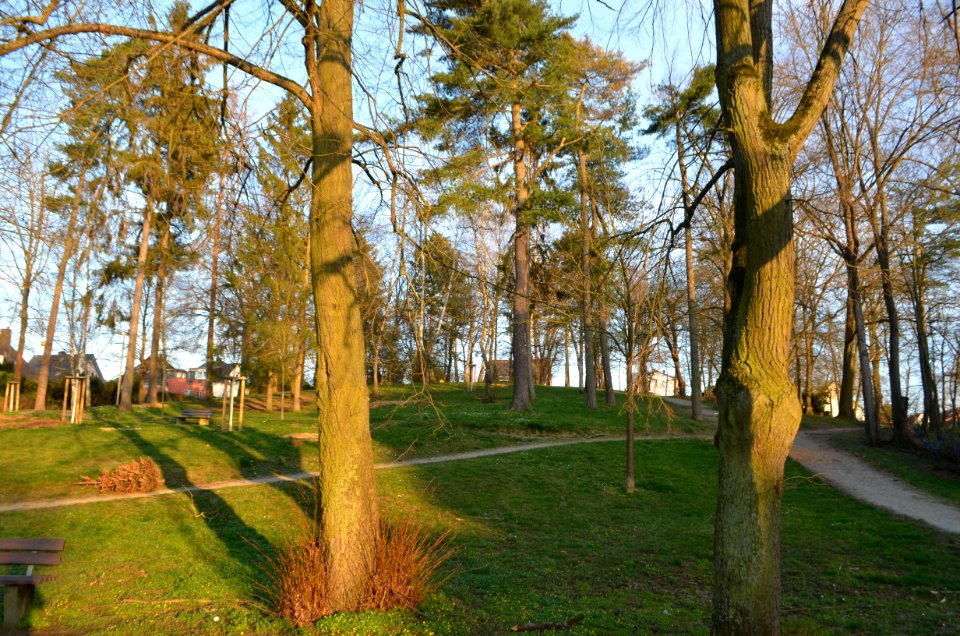 Limburg, Egenolf-Anlage (2)