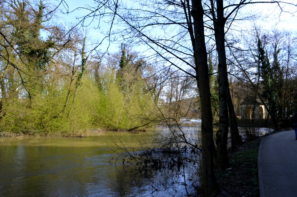 Limburg, Arnoldsche Insel (1)
