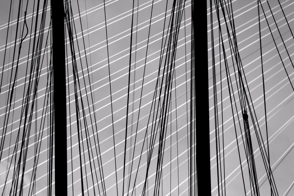 Lines Lines (26709507)