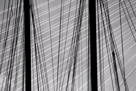 Lines Lines (26709507)