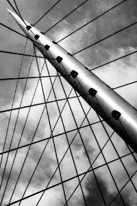 Lines Of Calatrava (72440077)