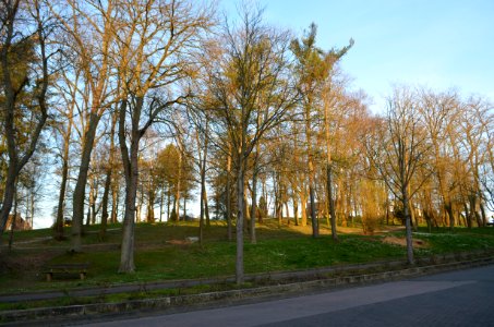 Limburg, Egenolf-Anlage (3)