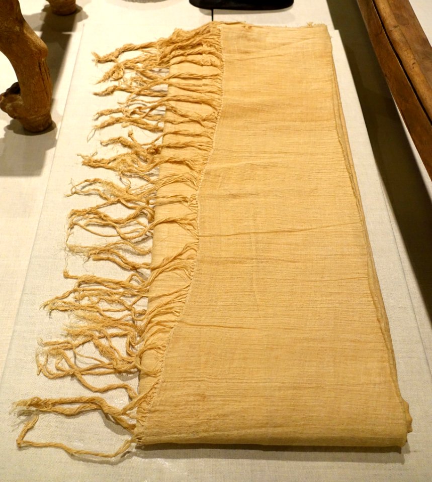 Linen, Thebes, tomb of Hatnofer and Ramose, New Kingdom, Dynasty 18, reign of Hatshepsut, c. 1503-1473 BC, flax, pigment - Oriental Institute Museum, University of Chicago - DSC07902