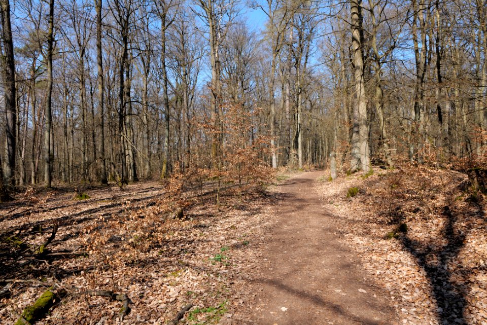 Limes trail Taunus Wehrheim 2021-04-02 19