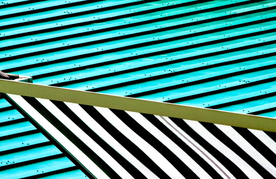 Lines (114277821)