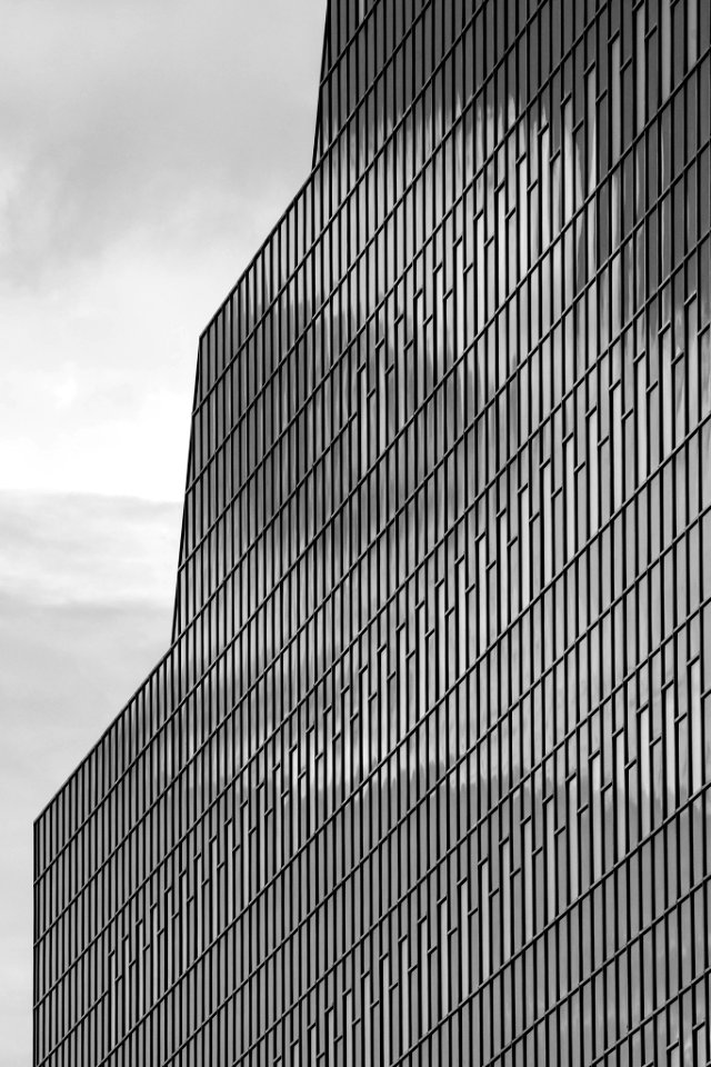 Lines (81889229)
