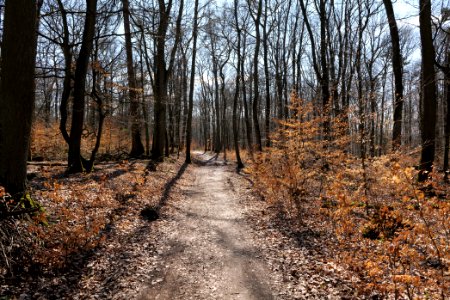 Limes trail Taunus Wehrheim 2021-04-02 17