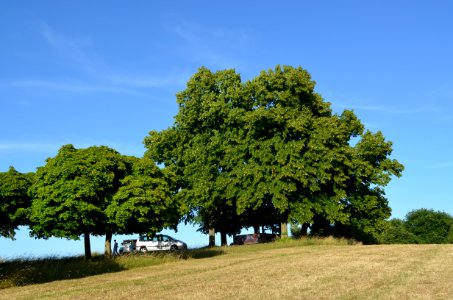 Limburg, Greifenberg, Josef Bielefeld Hütte