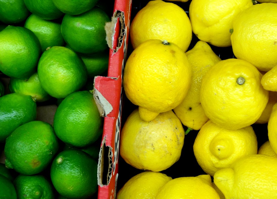 Limes & Lemons - DSC06057