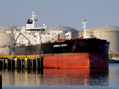 Limerick Spirit Pic2 05July2009, Port of Rotterdam