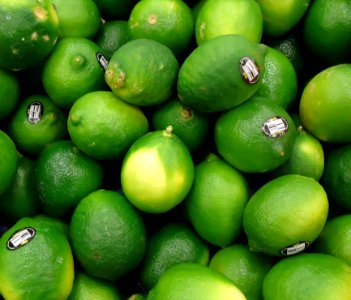 Limes for sale in supermarket photo