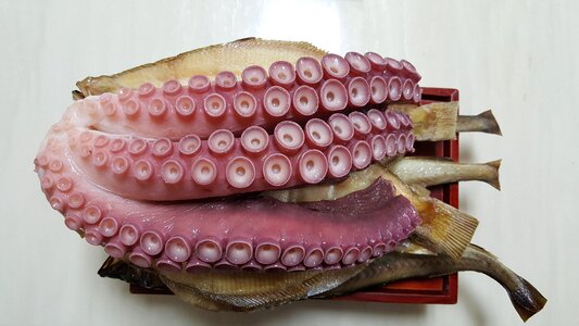 The upper electrode octopus sai