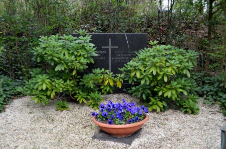 Limburg, Hauptfriedhof, Grab Joseph Schneider