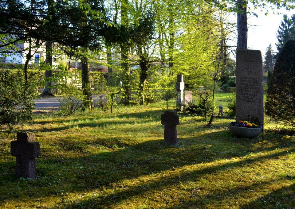 Limburg, Hauptfriedhof, Gedenkstein Russen und Polen (1)