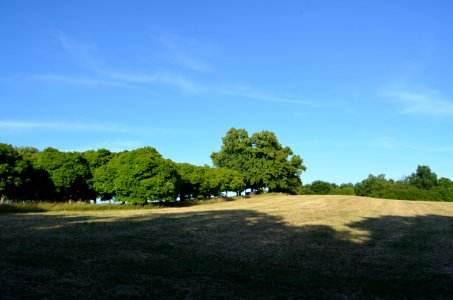 Limburg, Greifenberg, Gipfel