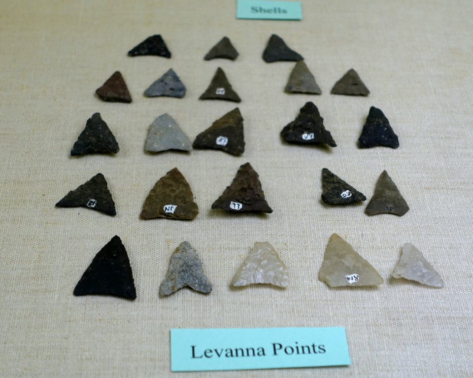 Levanna points - Plymouth Area Artifacts (W. W. Whiting Collection) - Robbins Museum - Middleborough, Massachusetts - DSC03872