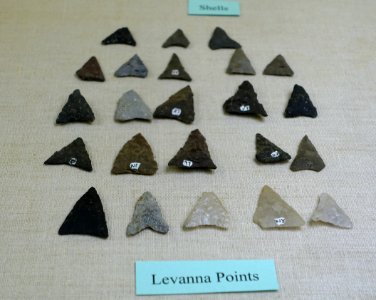 Levanna points - Plymouth Area Artifacts (W. W. Whiting Collection) - Robbins Museum - Middleborough, Massachusetts - DSC03872