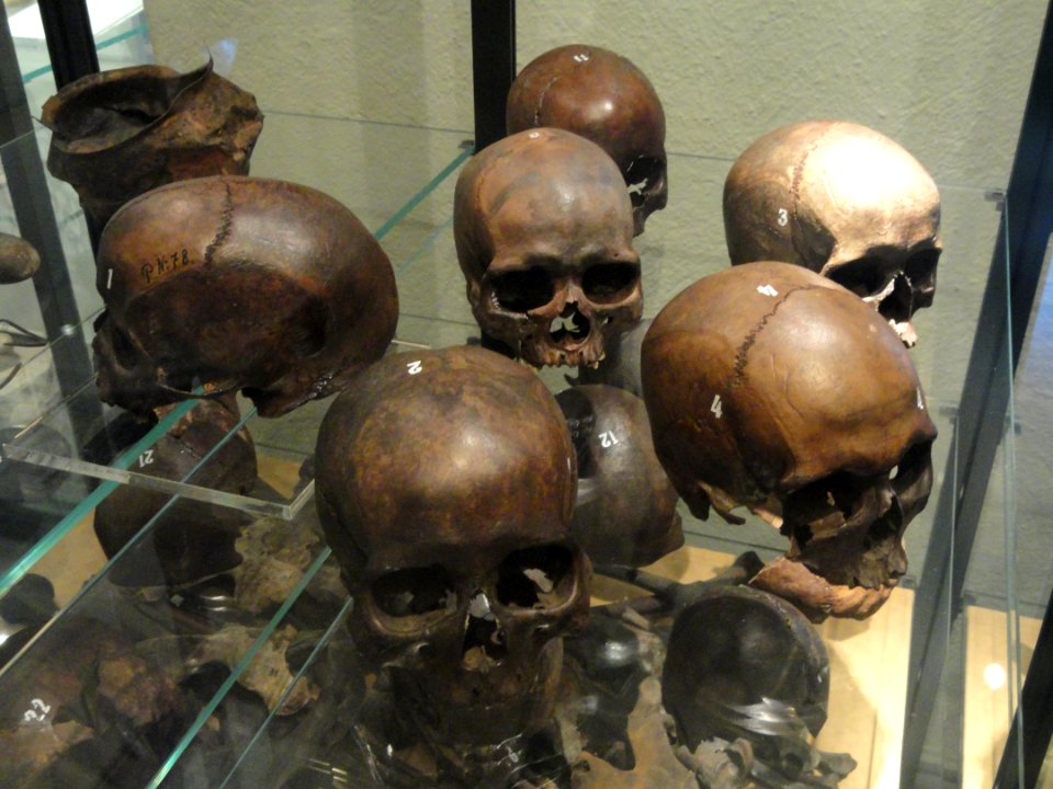 Leväluhta bog, Merovingian age bones - National Museum of Finland - DSC04176
