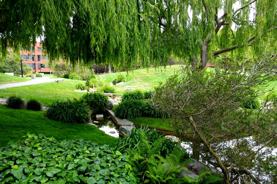 Levi's Plaza Park - San Francisco, CA - DSC04662
