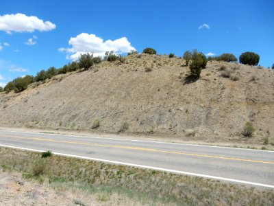 Lewis Shale near type