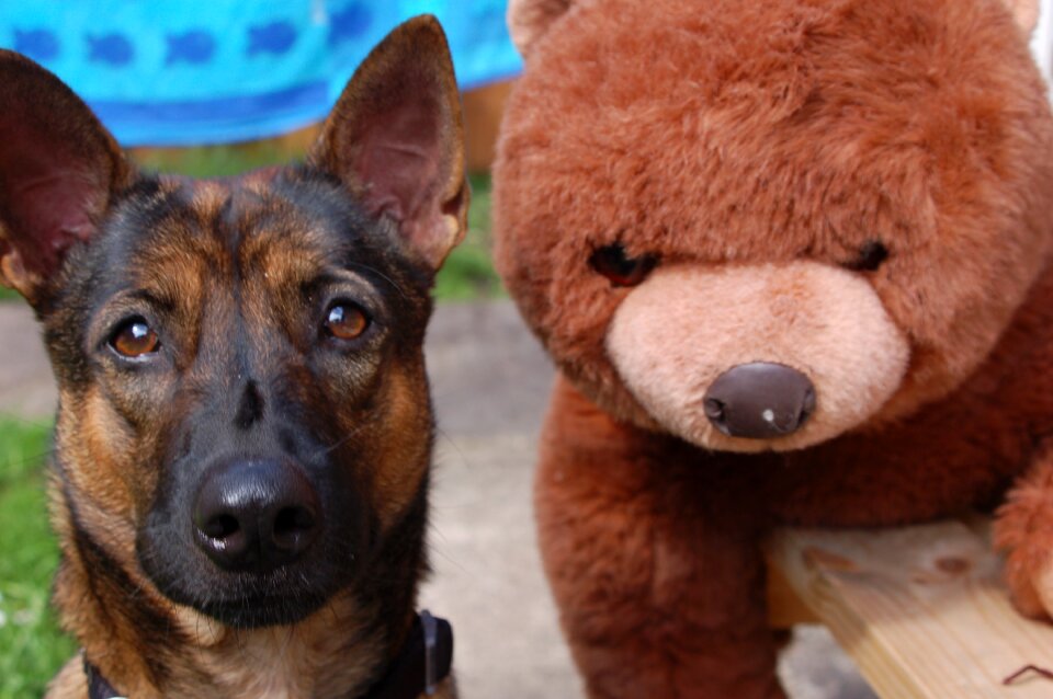 Plush toy best friends animal
