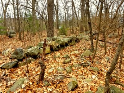 Liberty Heights - Lexington, MA - 20200401 110038