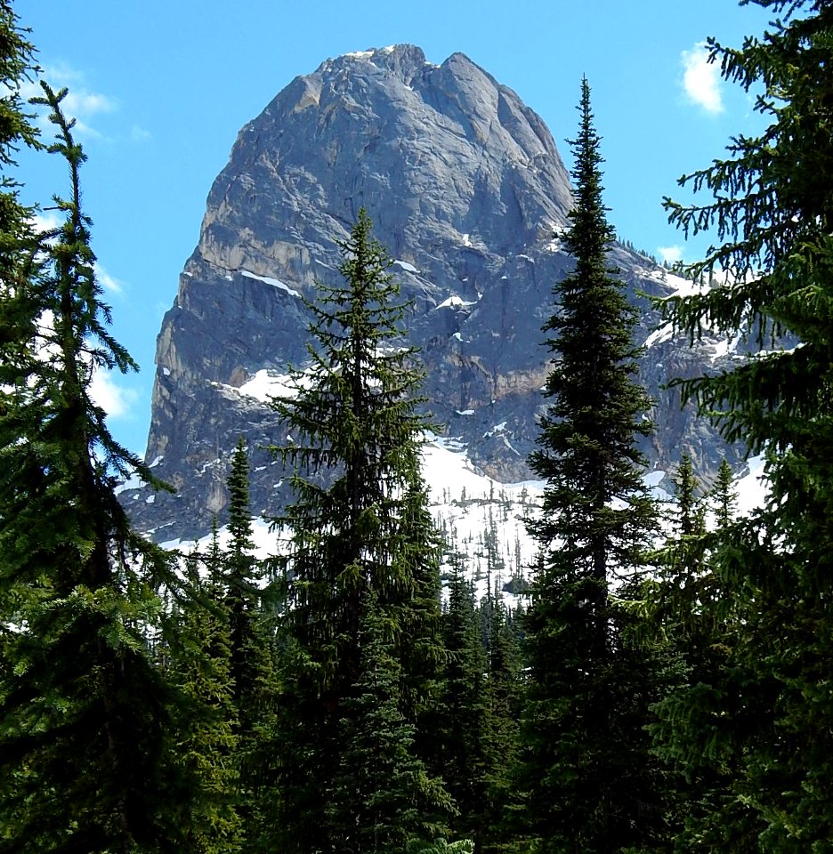 Liberty Bell Mountain through trees