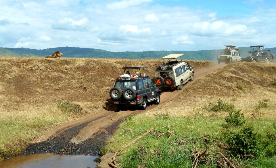 Lion off road unpaved