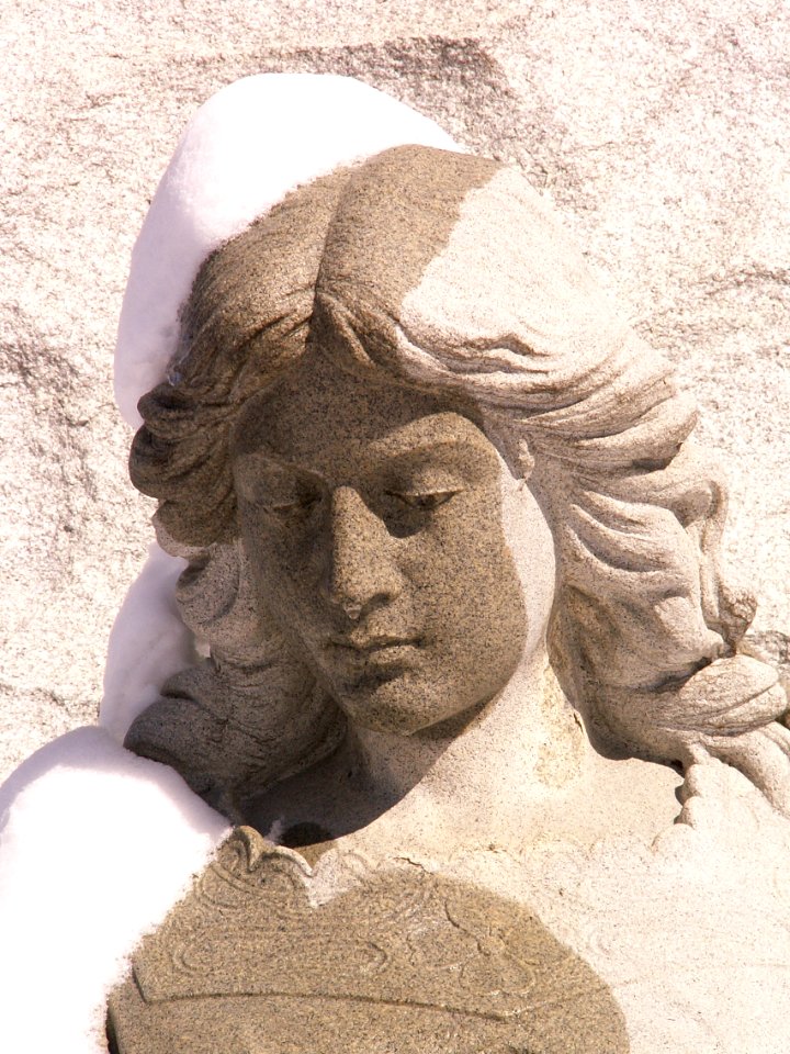 Lewis Brown monument, Allegheny Cemetery, 2015-01-28, 03