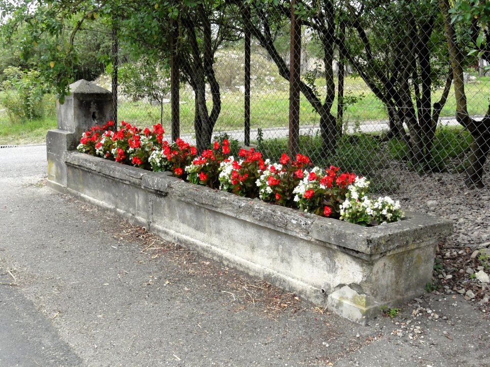 Levoncourt (Meuse) fontaine C, fleurie