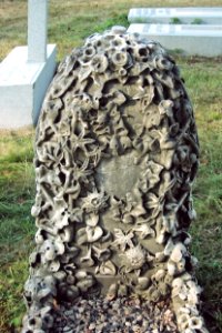 Lewis Grave, Allegheny Cemetery, 2015-08-21, 02