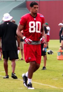 Levine Toilolo 2013