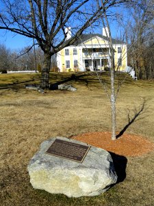 Liberty Tree Memorial - Kiwanis Park - Woburn, MA - DSC04143