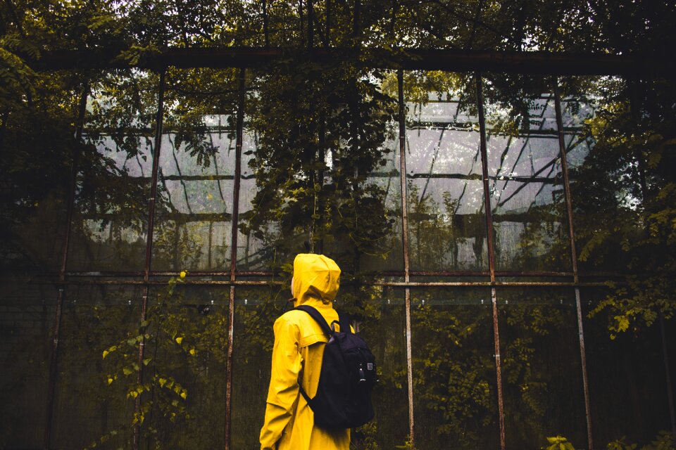 Environment greenhouse light