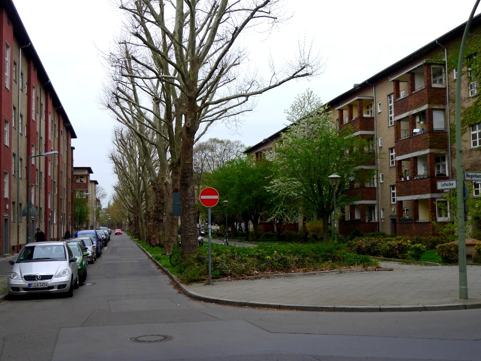 Letteallee (Berlin-Reinickendorf)