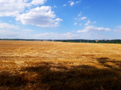 Letiště Dolní Benešov (1)