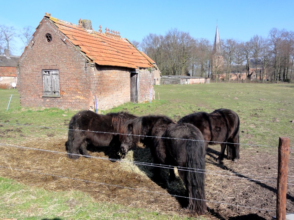 Leur (Wijchen) van Balverenlaan bij 2 bakhuisje met vorstkammen Gem.Mon